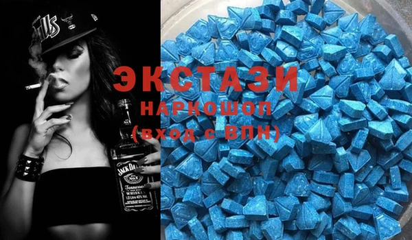a pvp Новозыбков