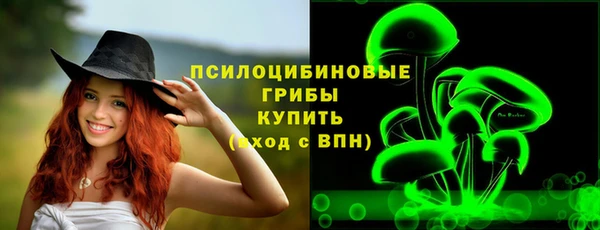 прущая мука Новодвинск