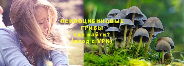 прущая мука Новодвинск