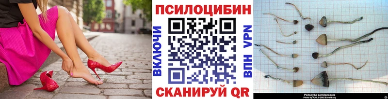 гидра tor  Скопин  Псилоцибиновые грибы мухоморы 