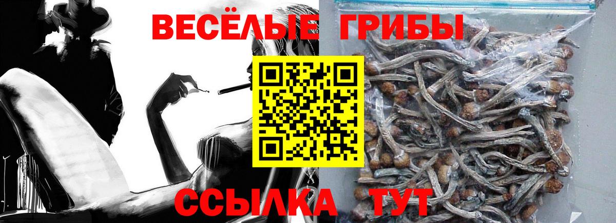 Галлюциногенные грибы GOLDEN TEACHER Скопин