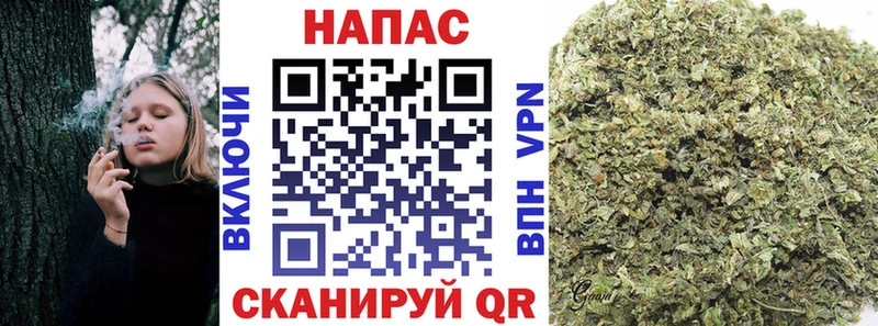 Бошки Шишки Ganja  Скопин 